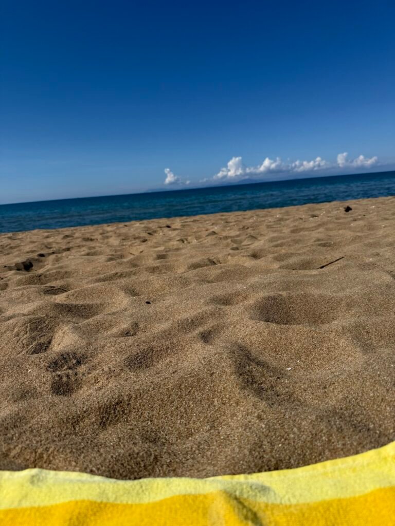 Our October in Skafidia 1